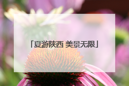 夏游陕西 美景无限