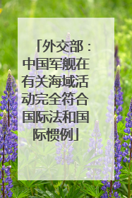 外交部：中国军舰在有关海域活动完全符合国际法和国际惯例