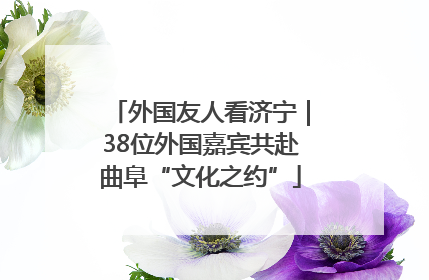 外国友人看济宁｜38位外国嘉宾共赴曲阜“文化之约”