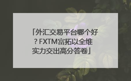 外汇交易平台哪个好？FXTM富拓以全维实力交出高分答卷