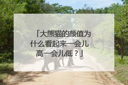 大熊猫的颜值为什么看起来一会儿高一会儿低？