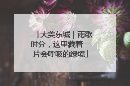 大美东城｜雨歇时分，这里藏着一片会呼吸的绿境