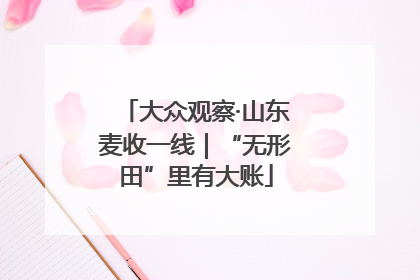 大众观察·山东麦收一线｜“无形田”里有大账