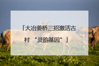 大冶姜桥三招激活古村 “灵韵基因”