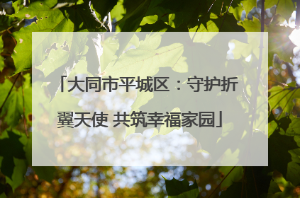 大同市平城区：守护折翼天使 共筑幸福家园