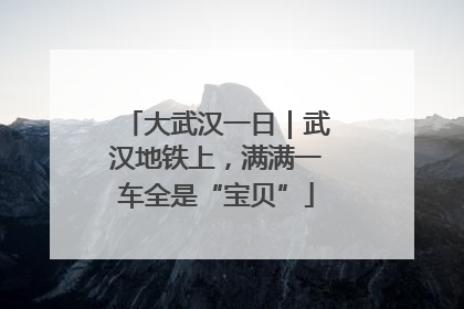 大武汉一日｜武汉地铁上，满满一车全是“宝贝”