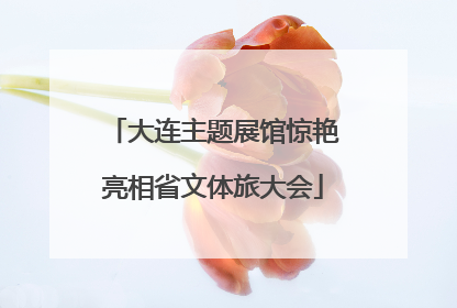 大连主题展馆惊艳亮相省文体旅大会