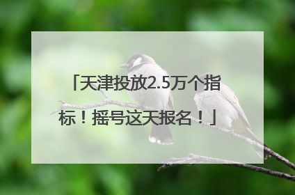 天津投放2.5万个指标！摇号这天报名！