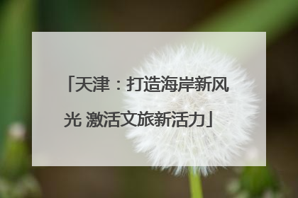 天津：打造海岸新风光 激活文旅新活力