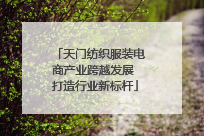 天门纺织服装电商产业跨越发展 打造行业新标杆