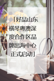 好品山东横琴粤澳深度合作区品牌出海中心正式启动