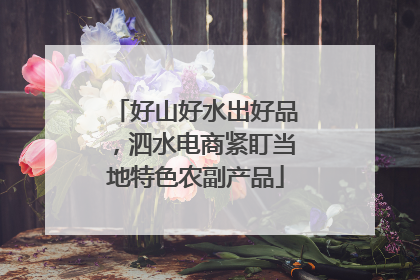 好山好水出好品，泗水电商紧盯当地特色农副产品