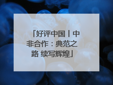 好评中国丨中非合作：典范之路 续写辉煌