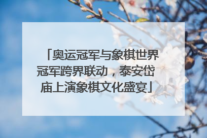 奥运冠军与象棋世界冠军跨界联动，泰安岱庙上演象棋文化盛宴