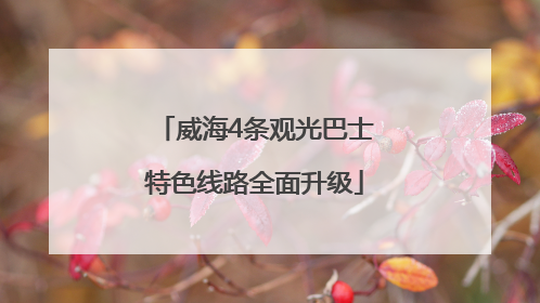 威海4条观光巴士特色线路全面升级