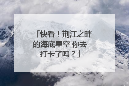 快看！荆江之畔的海底星空 你去打卡了吗？
