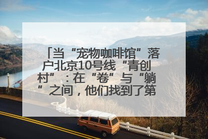 当“宠物咖啡馆”落户北京10号线“青创村”：在“卷”与“躺”之间，他们找到了第三种生活公式