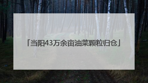 当阳43万余亩油菜颗粒归仓