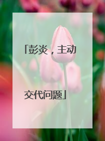 彭炎，主动交代问题