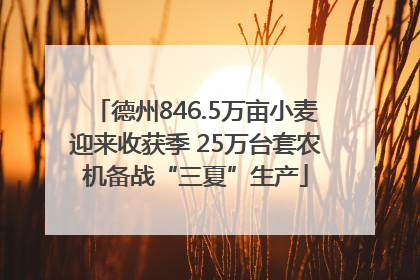 德州846.5万亩小麦迎来收获季 25万台套农机备战“三夏”生产