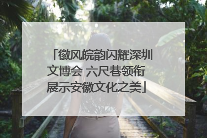 徽风皖韵闪耀深圳文博会 六尺巷领衔展示安徽文化之美
