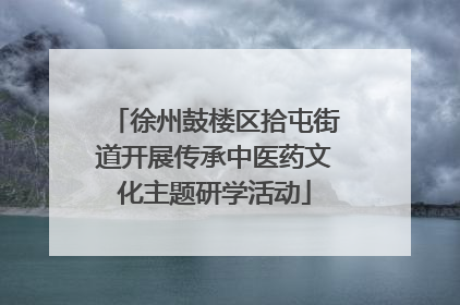 徐州鼓楼区拾屯街道开展传承中医药文化主题研学活动