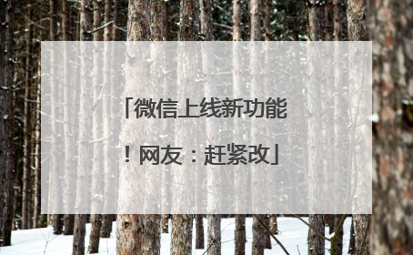 微信上线新功能！网友：赶紧改