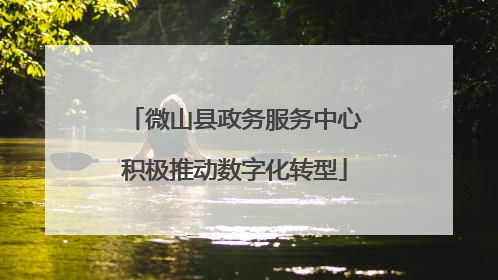微山县政务服务中心积极推动数字化转型