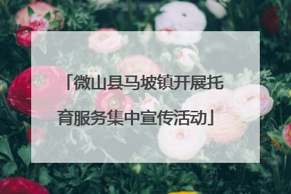 微山县马坡镇开展托育服务集中宣传活动