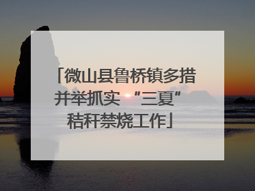 微山县鲁桥镇多措并举抓实 “三夏” 秸秆禁烧工作