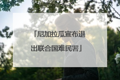 尼加拉瓜宣布退出联合国难民署