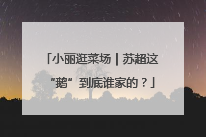 小丽逛菜场｜苏超这“鹅”到底谁家的？