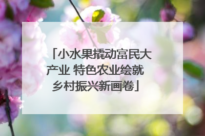 小水果撬动富民大产业 特色农业绘就乡村振兴新画卷