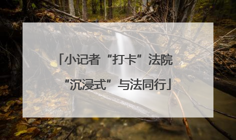 小记者“打卡”法院 “沉浸式”与法同行