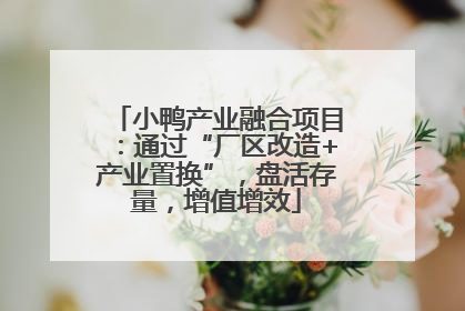 小鸭产业融合项目：通过“厂区改造+产业置换”，盘活存量，增值增效