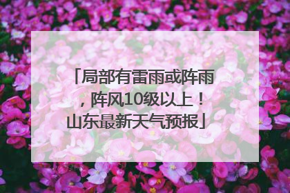局部有雷雨或阵雨，阵风10级以上！山东最新天气预报