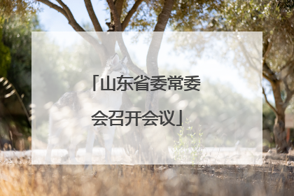 山东省委常委会召开会议