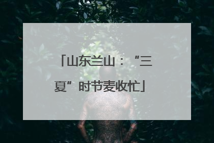 山东兰山：“三夏”时节麦收忙