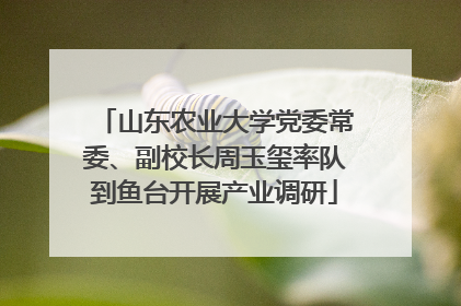 山东农业大学党委常委、副校长周玉玺率队到鱼台开展产业调研