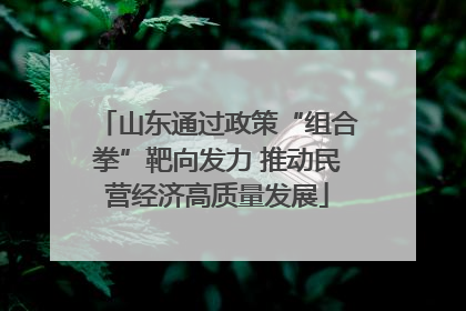 山东通过政策“组合拳”靶向发力 推动民营经济高质量发展