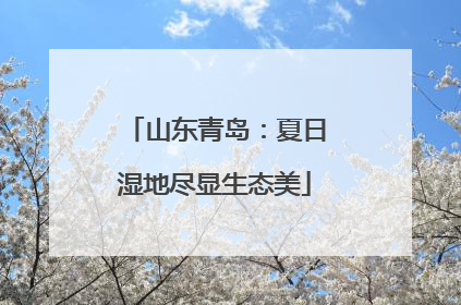 山东青岛：夏日湿地尽显生态美