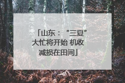 山东：“三夏”大忙将开始 机收减损在田间