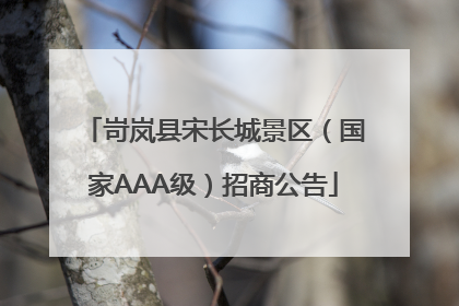 岢岚县宋长城景区（国家AAA级）招商公告