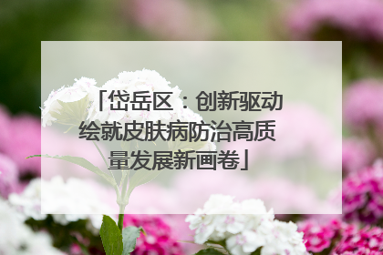 岱岳区：创新驱动绘就皮肤病防治高质量发展新画卷