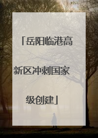 岳阳临港高新区冲刺国家级创建