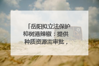 岳阳拟立法保护樟树港辣椒：提供种质资源需审批，违规最高罚5万