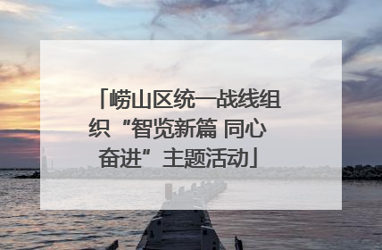 崂山区统一战线组织“智览新篇 同心奋进”主题活动
