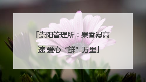崇阳管理所：果香漫高速 爱心“鲜”万里