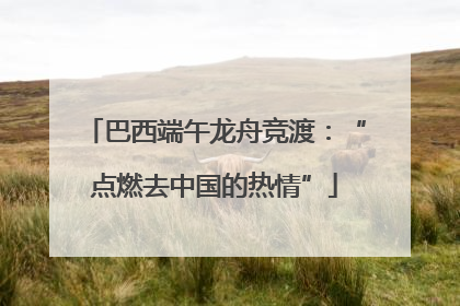 巴西端午龙舟竞渡：“点燃去中国的热情”