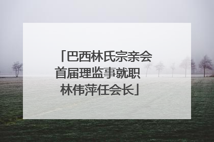 巴西林氏宗亲会首届理监事就职 林伟萍任会长
